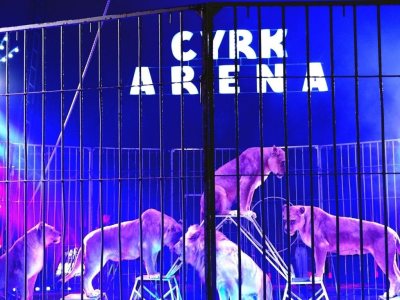 Cyrk Arena